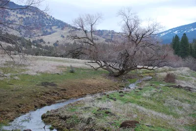 Yreka - 12 - 23 - 2007b (2) (Large).JPG